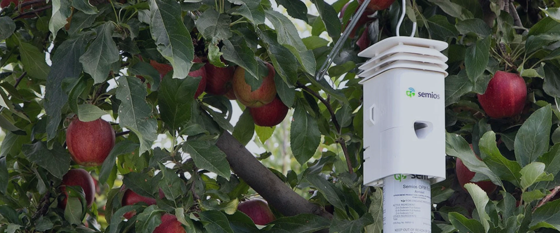 ST success story visual related to connected monitoring systems